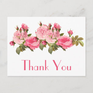 Vintage Pink Roses Thank You Floral  Postcard