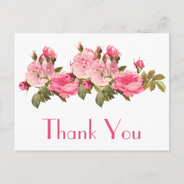 Vintage Pink Roses Thank You Floral  Postcard (Front)