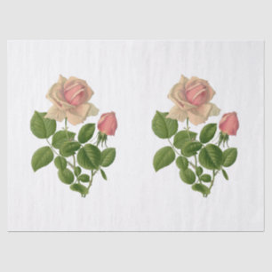 Vintage Pink Tea Roses Flowers Tissue Paper