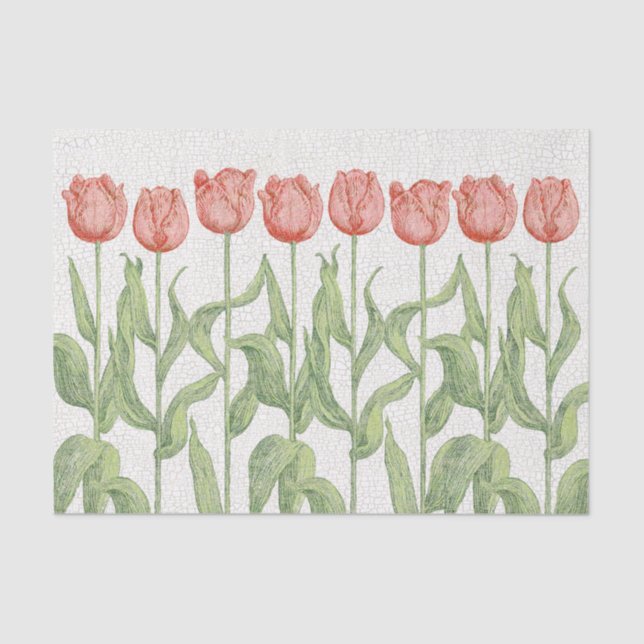 Vintage Pink Tulip Garden Floral Tissue Paper (Front)