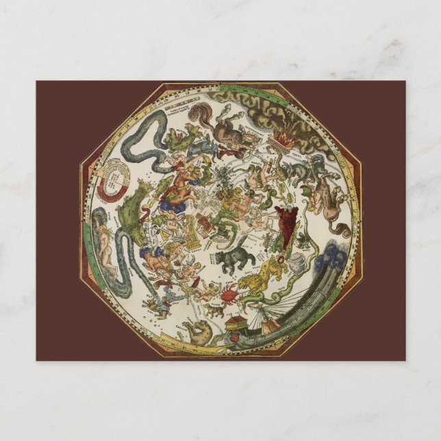 Vintage Planisphere Celestial Map by Peter Apian Postcard (Front)
