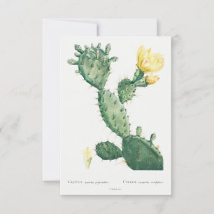 Vintage plant illustration