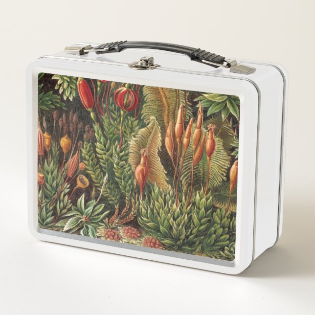 Vintage Plant Life Metal Lunch Box (Front)