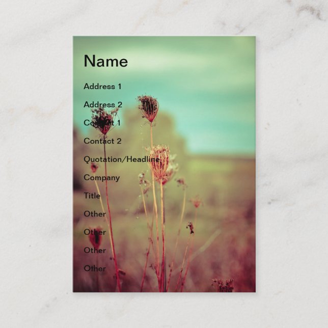 Vintage plants business card (Front)