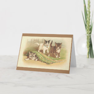 Vintage Playful Kittens Note Card