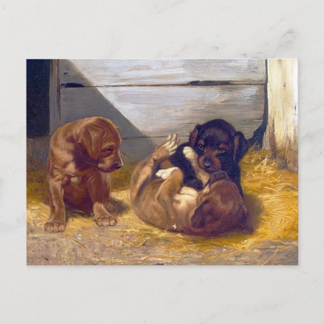 Vintage Playing Puppies Postcard (Front)