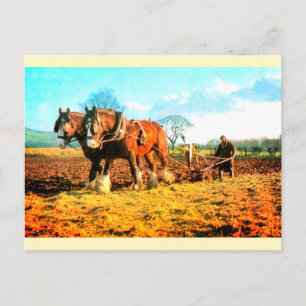 Vintage ploughing farming postcard