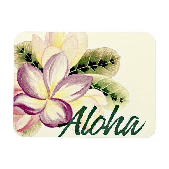 Vintage Plumeria Aloha Magnet (Horizontal)
