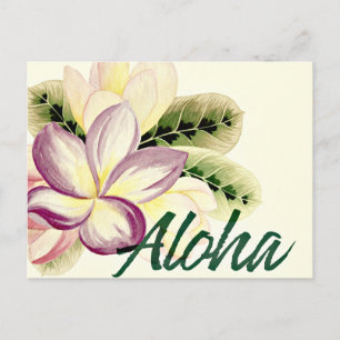 Vintage Plumeria Aloha Postcard