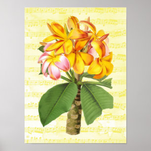 Vintage Plumeria on Music Poster