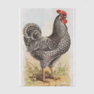 Vintage Plymouth Rock Chicken Decoupage Tissue Paper