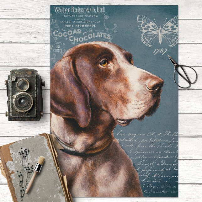 Vintage Pointer Dog with Ephemera Decoupage Tissue Paper (Creator Uploaded)