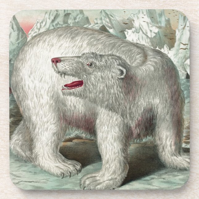 Vintage polar bear on iceberg winter illustration coaster (Front)