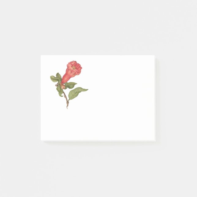 Vintage pomegranate flower blooming illustration  post-it notes (Front)