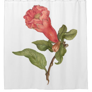 Vintage pomegranate flower blooming illustration shower curtain