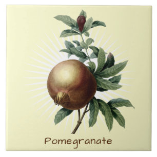 Vintage Pomegranate Fruit Botanical Art Tile