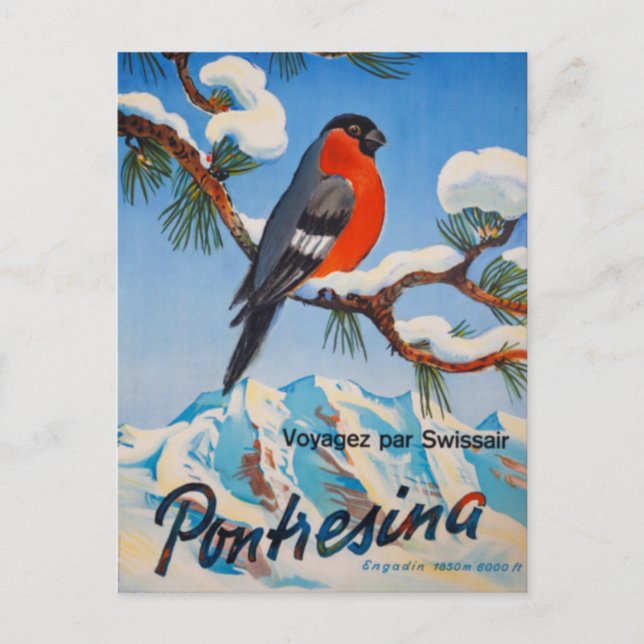 Vintage Pontresina Vacation Swiss Air Switzerland Postcard (Front)