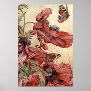 Vintage Poppies and Butterflies Poster