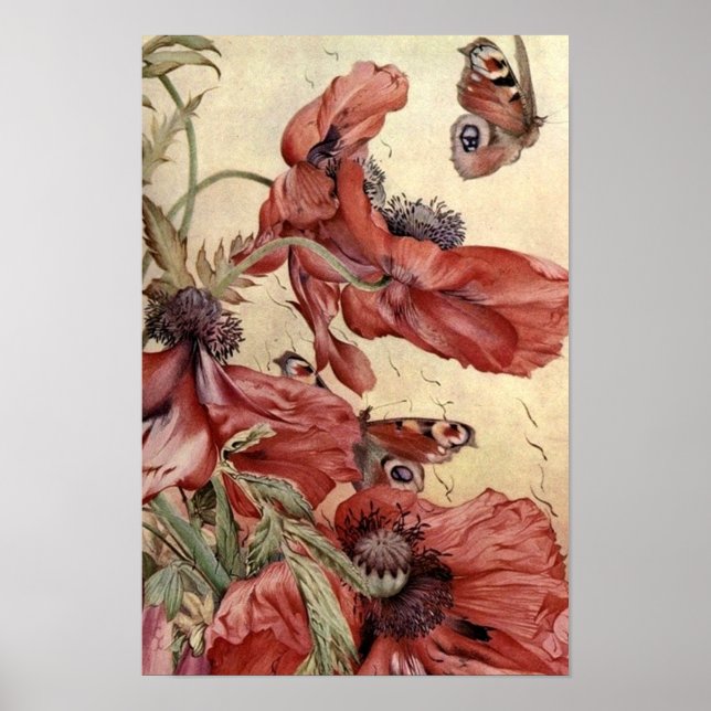 Vintage Poppies and Butterflies Poster (Front)
