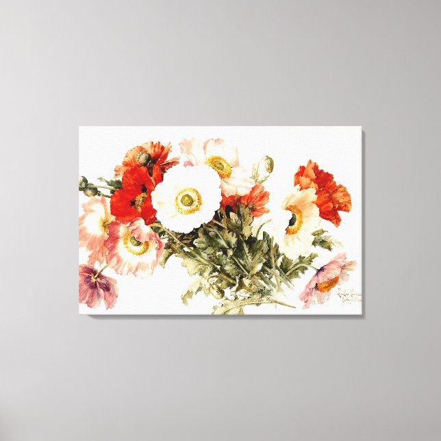 Vintage Poppies Canvas Print (Front)