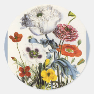 Vintage Poppies in the Garden, Victorian Flowers Classic Round Sticker