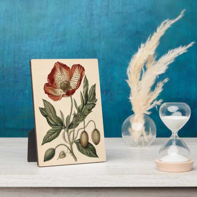 Vintage Poppy Botanical Illustration Plaque (Side)