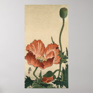Vintage Poppy Flower Poster