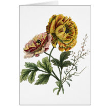 Vintage Poppy Flowers