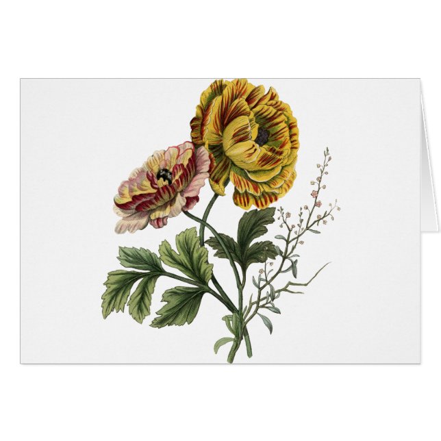 Vintage Poppy Flowers (Front Horizontal)