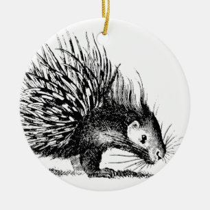 Vintage Porcupine Illustration - 1800's Porcupines Ceramic Tree Decoration
