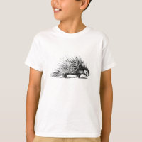 Vintage Porcupine Illustration - 1800's Porcupines