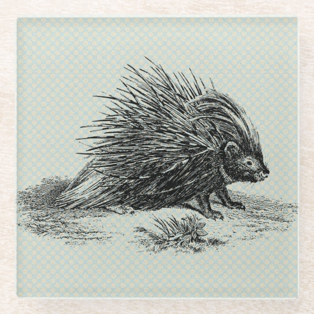 Vintage Porcupine Illustration Glass Coaster (Front)