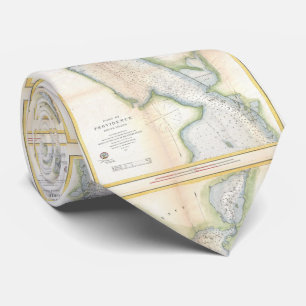 Vintage Port of Providence Rhode Island Map (1865) Tie