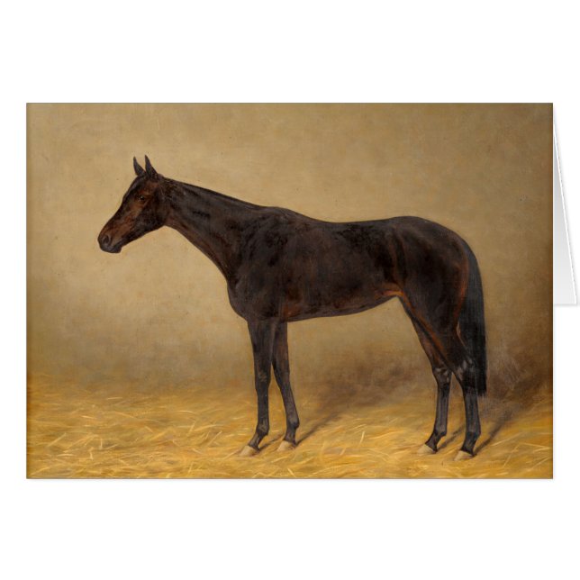 Vintage Portrait of a Beautiful Horse, (Front Horizontal)