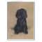 Vintage Portrait of a Cocker Spaniel,