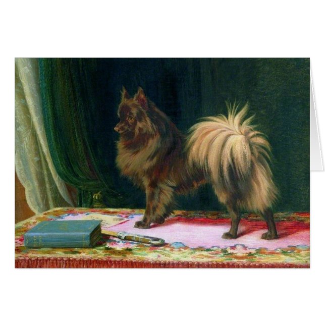 Vintage - Portrait of a Pomeranian Dog, (Front Horizontal)