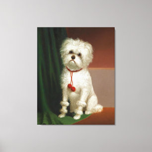 Vintage Portrait Of A White Dog Canvas Print