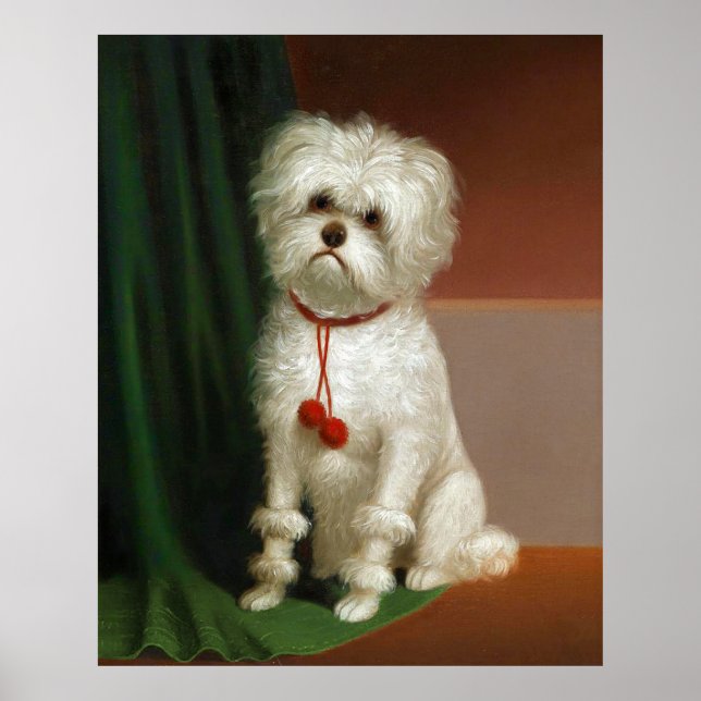  Vintage Portrait Of A White Dog Poster (Front)