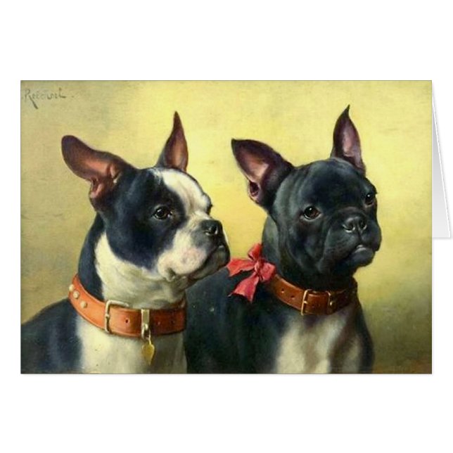 Vintage - Portrait of Boston Terrier Dogs, (Front Horizontal)