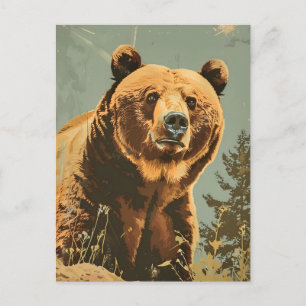 Vintage Portrait of the Brown Bear Postcard