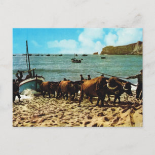Vintage Portugal,   Nazare, beaching fishing boats Postcard