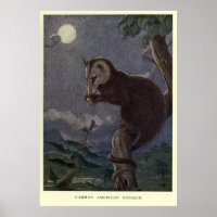 Vintage Possum Painting (1909)