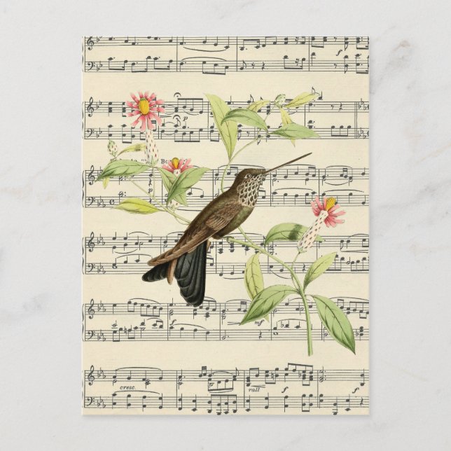 vintage postcard botanical hummingbird music (Front)