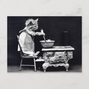 Vintage Postcard Cat in Dress Cooking