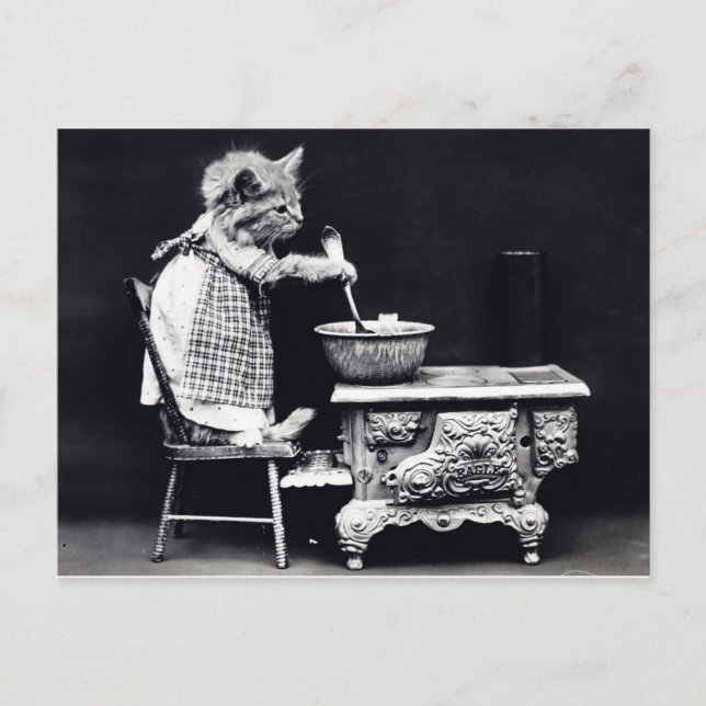 Vintage Postcard Cat in Dress Cooking (Front)