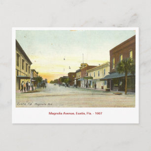Vintage Postcard, Eustis, Florida Postcard