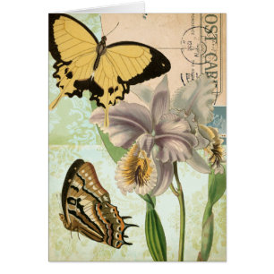 Vintage Postcard with Butterflies and Flowers