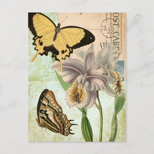 Vintage Postcard with Butterflies and Flowers (Front)