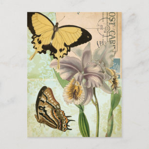 Vintage Postcard with Butterflies and Flowers