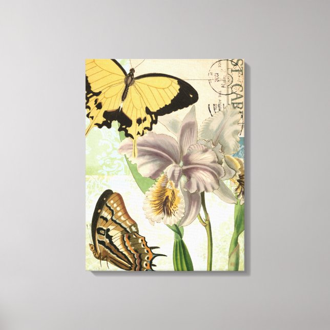 Vintage Postcard with Butterflies and Flowers Canvas Print (Front)